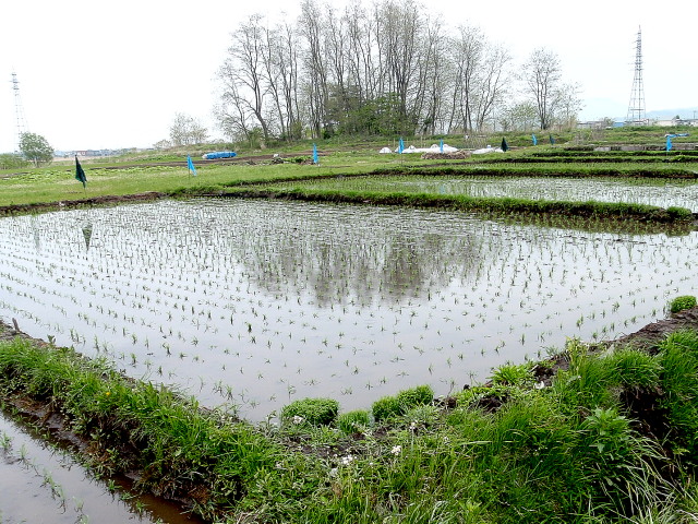 a0007388_1111353.jpg