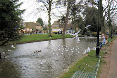 c0107588_11582936.jpg