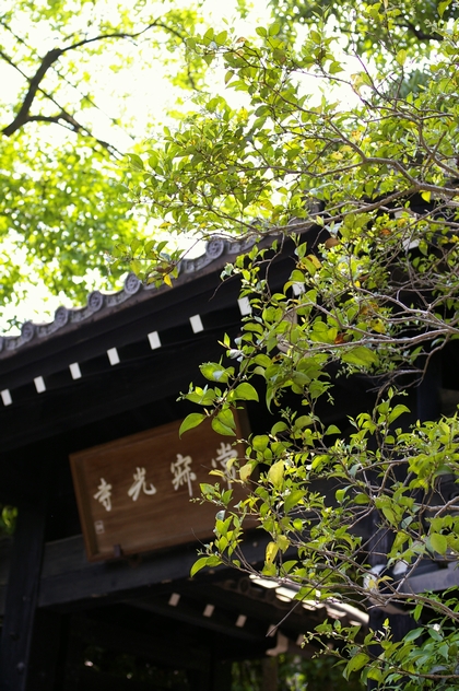 b0080789_1265765.jpg