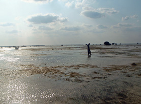 c0018489_18261127.jpg