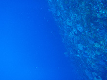 c0018489_2205113.jpg
