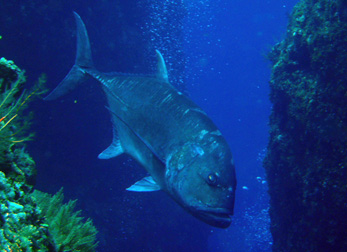 c0018489_2213190.jpg