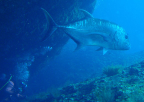 c0018489_2215913.jpg