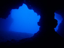 c0018489_22616.jpg