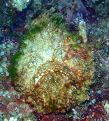 c0018489_228128.jpg