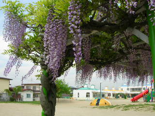 c0029190_2042693.jpg