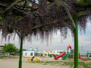 c0029190_2093390.jpg
