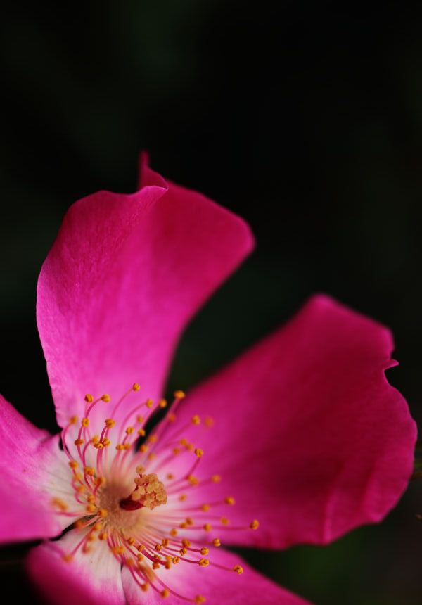f0195893_8123968.jpg