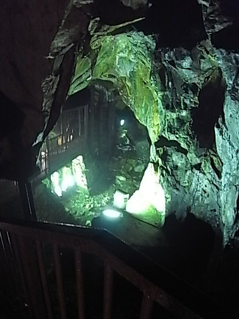 d0144496_19314595.jpg