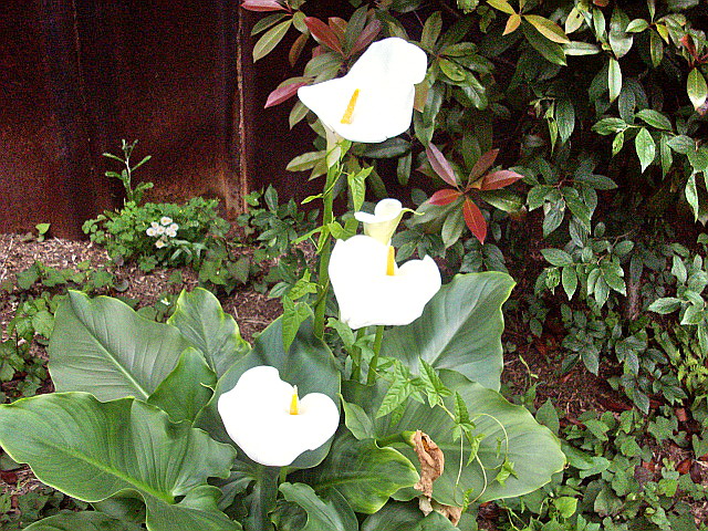 c0138198_20343714.jpg