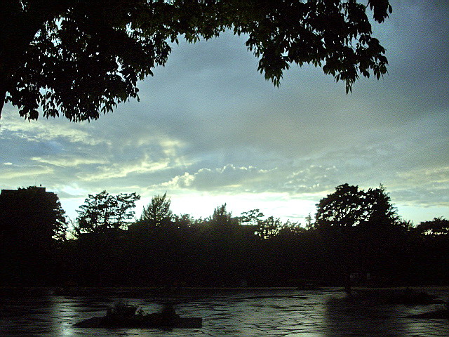 c0138198_205405.jpg