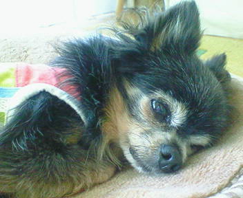 b0160300_213437100.jpg