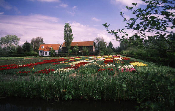 c0183002_21383390.jpg
