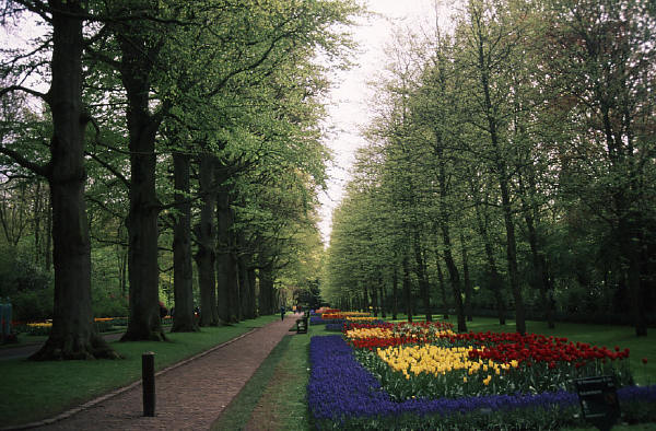 c0183002_2139424.jpg