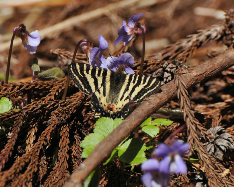 e0103903_20184716.jpg