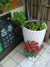 d0107605_16492780.jpg