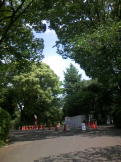c0032006_10442890.jpg