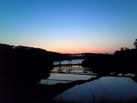 c0092408_167114.jpg