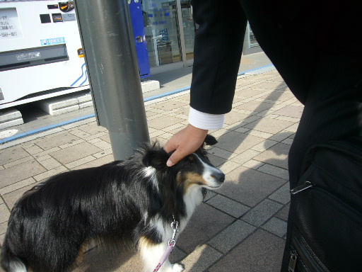e0130008_22192154.jpg