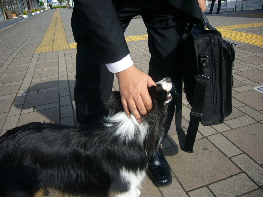 e0130008_22192968.jpg