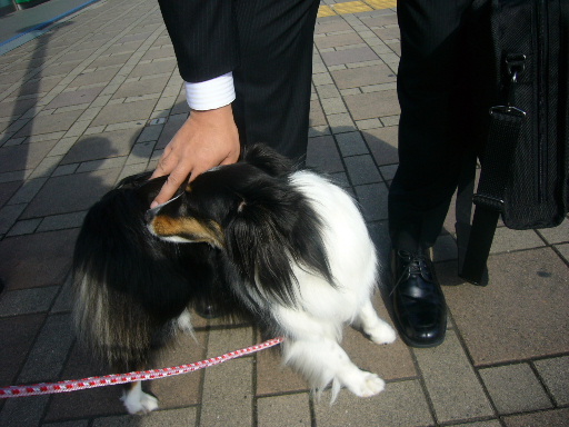 e0130008_22193971.jpg