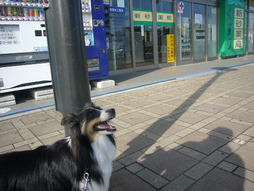 e0130008_22203414.jpg