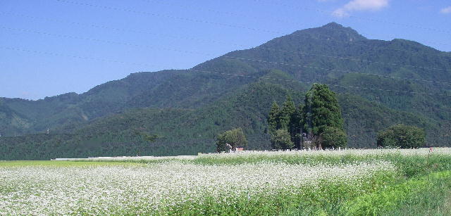b0172209_855584.jpg