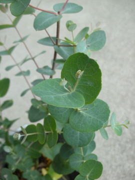 c0145209_22171751.jpg