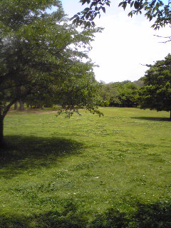 d0101409_1712944.jpg