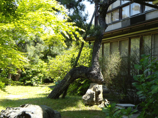 b0159611_21184384.gif
