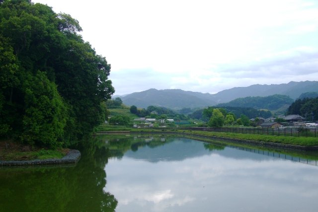 d0007913_15135150.jpg
