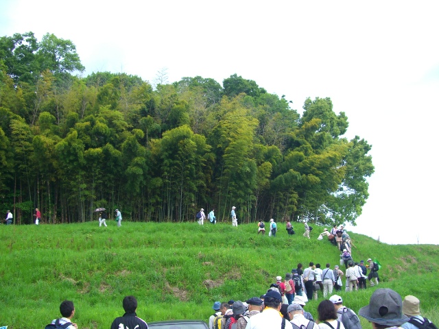 d0007913_15395029.jpg