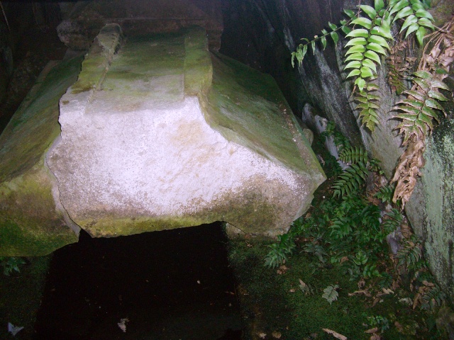 d0007913_1655680.jpg
