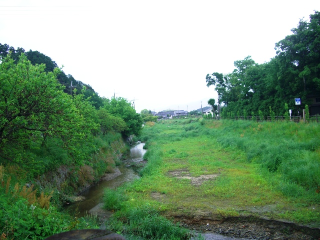 d0007913_16563730.jpg