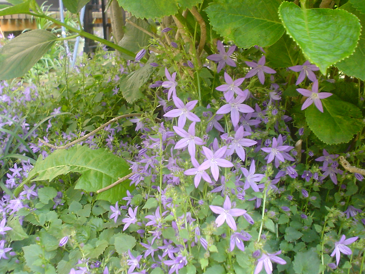 c0150520_20282037.jpg