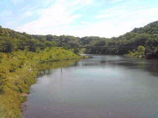 a0052621_11324439.jpg