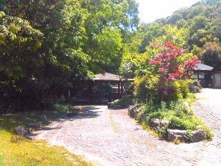 a0052621_1132446.jpg