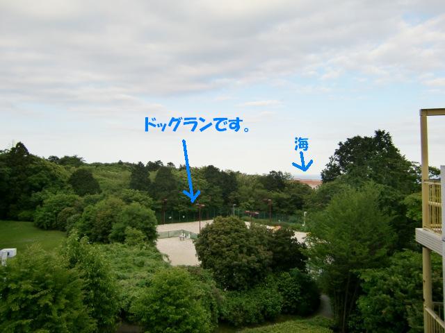 f0182121_6553442.jpg