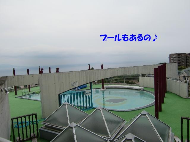 f0182121_703654.jpg