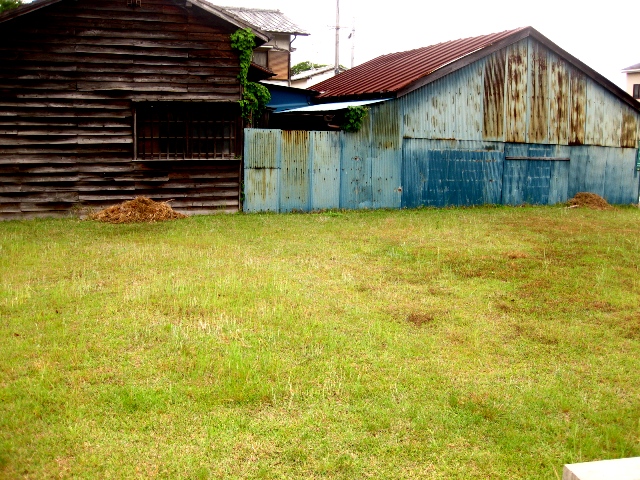 c0134522_835376.jpg
