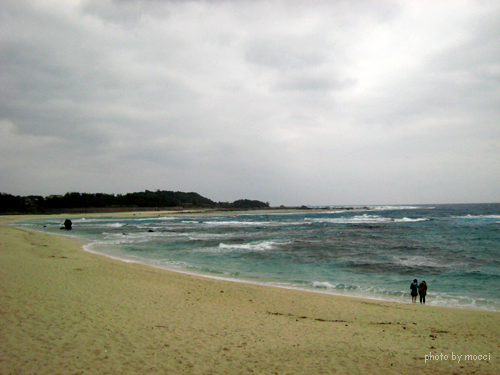 d0131523_18581075.jpg