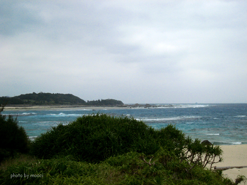 d0131523_18584897.jpg