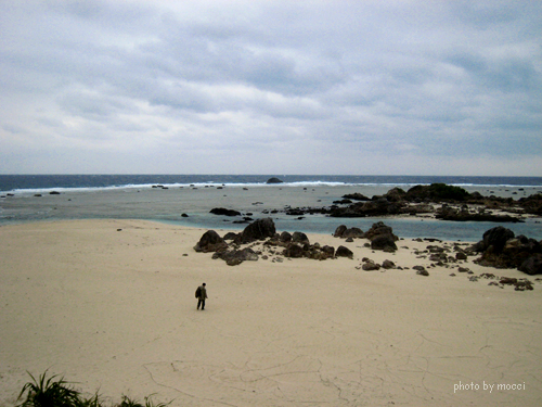 d0131523_18595364.jpg