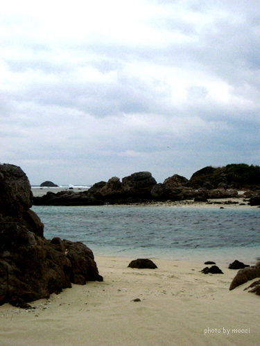 d0131523_1914822.jpg