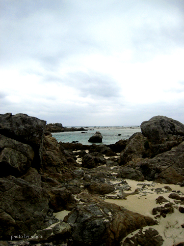 d0131523_1933218.jpg