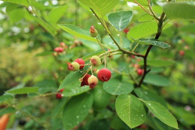 c0127029_1819514.jpg