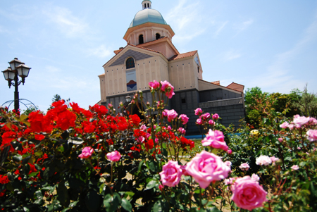 f0080530_2012533.jpg