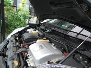 b0041532_1594418.jpg