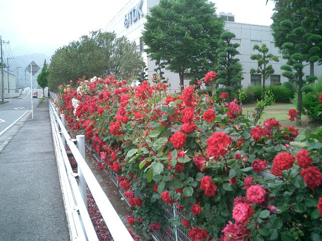 c0114833_23571614.jpg
