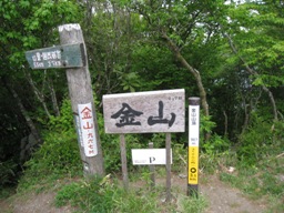 c0077338_795565.jpg